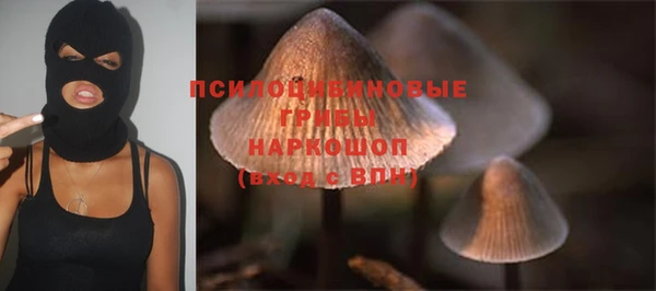 шишки Абаза
