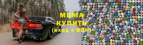 шишки Абаза