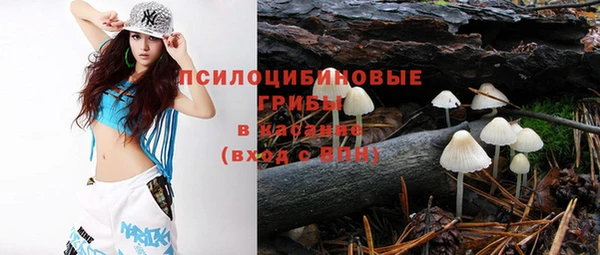 твердый Абинск