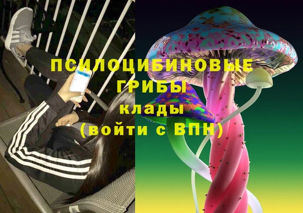 гидра Абдулино