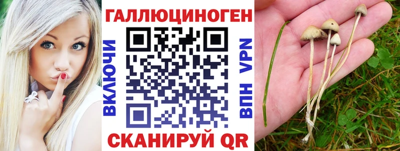 Псилоцибиновые грибы мицелий  Власиха 